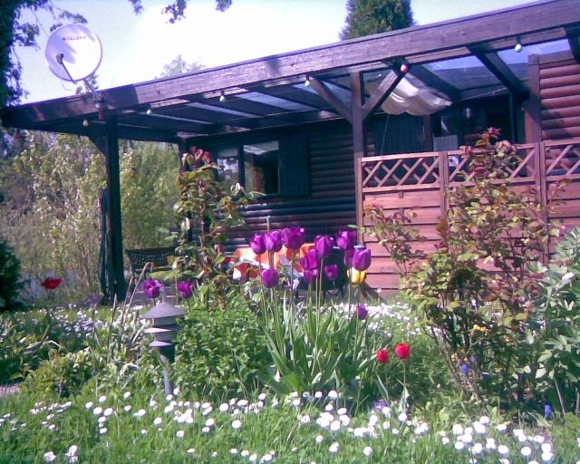 2 wunderschön gelegene Mobilheime direkt am See - Mobilheim - Stuttgart