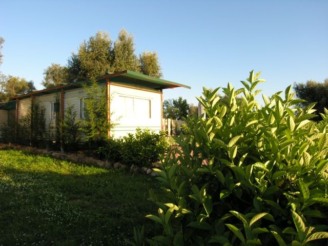 Italien Apulien Ferien am Meer im Olivenhain Mobilheim v. privat - Sonst Camping - Gallipoli (LE) Italien