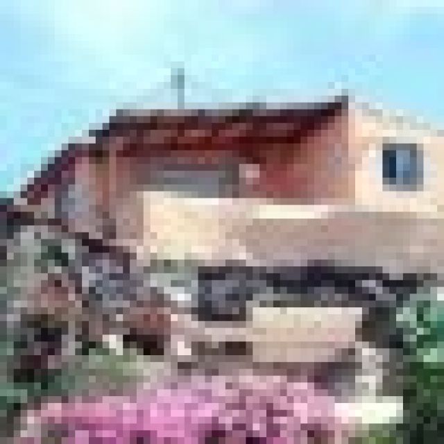Ferienhaus und Ferienwohnung auf Teneriffa - Finca Ronja - Casa Lily (Ferienhaus - Sonst Camping - Poris de Abona - Teneriffa